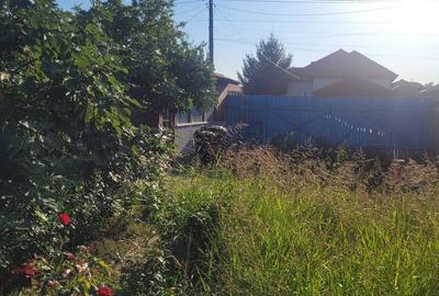 TEREN 510 MP ZONA PALAZU MARE - 6