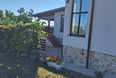 Casa mobilata si utilata in Catamaresti Deal - 2