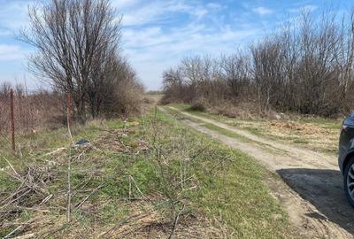 TEREN DE VANZARE-  -Plparcele de la  550 mp  zona Mega Image -Bolintin Vale - A1 - 6