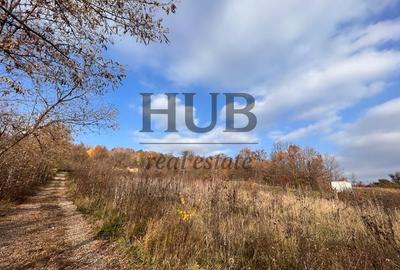 Teren Construcții extravilan de 1095 mp, în Podiș