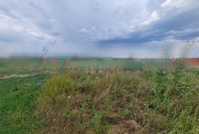 Teren intravilan pentru constructii si investitii de vanzare, Osorhei, Bihor - 1