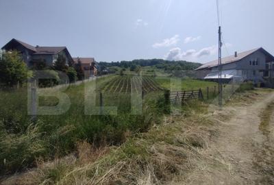 Teren Construcții intravilan de 1416 mp, în Centura