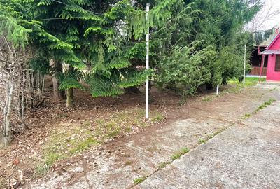 Teren de vanzare intravilan 1351 mp, gaz, apa, Sibiel-Vale - 4