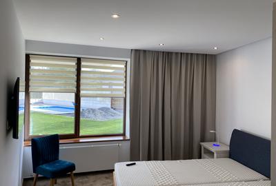Vila de lux cu piscina si spa Cisnadie super view - 6