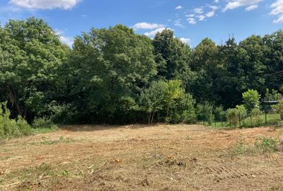 TEREN INTRAVILAN 1060 MP, BUCIUM- BARNOVA, DESCHIDERE LA DRUM 23 M - 2