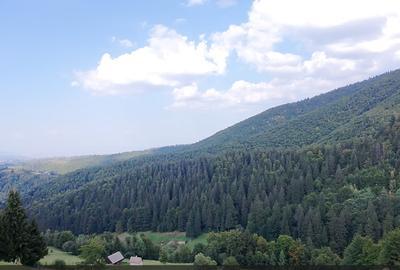 Teren superb extravilan, cu vedere la hotel Matca si muntii Bucegi - 3