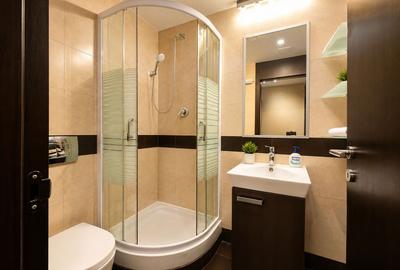 Apartament 3 camere de inchiriat piscina Iancu Nicolae - 11