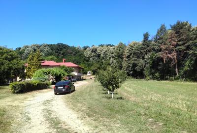 Domeniu+11500 mp teren ideal retreat Wellness pensiune, la marginea padurii - 1