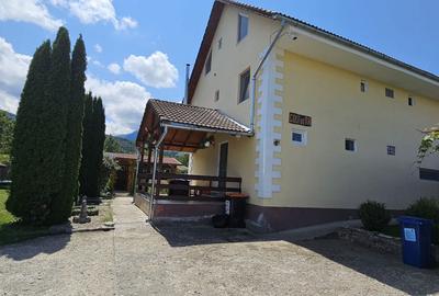 CASA VACANTA-zona pitoreasca minunata - 16