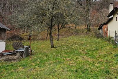 Casa  Campulung Muscel,padure proprie, toate utilitatile - 6