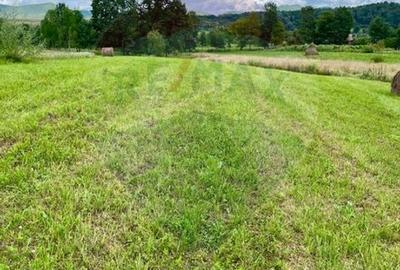 Teren 1,884mp Berbesti / Drumul secundar - 1