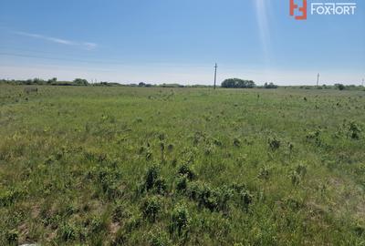 Teren de 5000 mp de vanzare in Mosnita Veche - 2