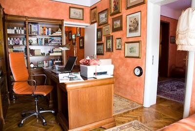 Vila desebita-POPA NAN- O oaza de liniste si verdeata in centrul orasului. - 5