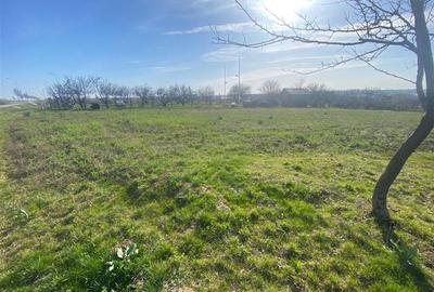 RECO teren extravilan 2148mp Episcopia - 1