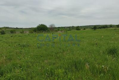 Comision 0%! Oportunitate, teren intravilan, 800 mp Masterplan, Sopor - 4