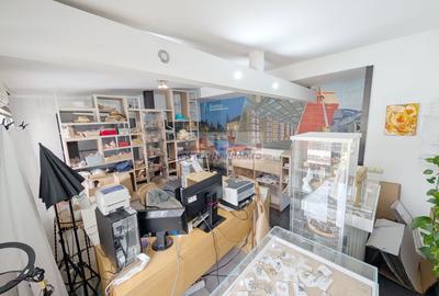 Vanzare casa 5 camere Tei,  zona Lacul Tei,  Bucuresti Sector 2 - 24