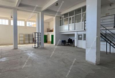 Hala 300 mp | Birouri + Vestiar | Acces auto | 3 intrari | Zona Lipovei - 17
