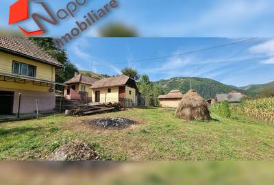 Casa deosebita in zona turistica pitoreasca Valea Ariesului - 6