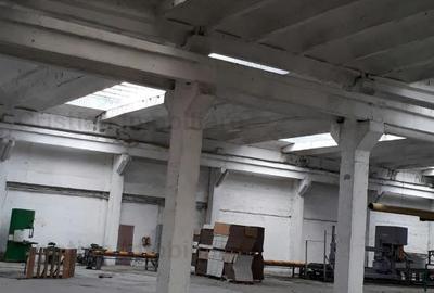 Hala   spatiu depozitare, zona Chiscani, suprafata 14450 mp - 5