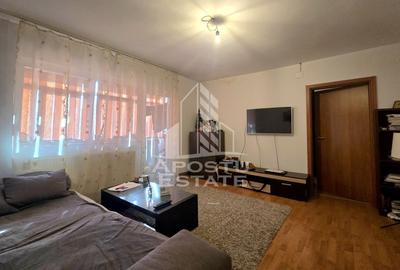 Apartament de vaznare 2 camere, etaj intermediar,Iulius Mall Timisoara - 4