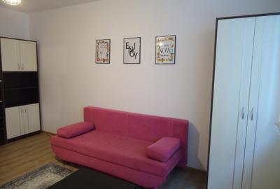 Apartament 1 camera Manastur, str. Padin, zona Piata Flora, decomandat - 10