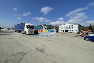 Hala 400 mp Pod Rulant 2T Birouri 100 mp Platforma Betonata 2500 mp - 15