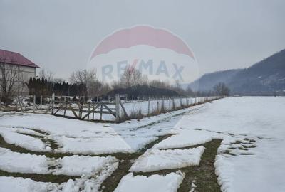 Teren 2,486mp Sighetu Marmatiei / Strada Constantin Dobrogeanu-Gherea - 1