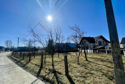 CASA RENOVATA + TEREN 3100 MP | CURTE SI GRADINA | FRATAUTII NOI - 20