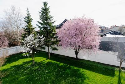 Vilă superbă, renovată integral, pe teren de 1.000 mp, în Pipera - 4