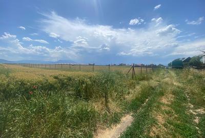 Teren  intravilan cu PUZ 30.000 mp Prejmer - 7