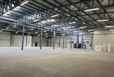 Hala de inchiriat depozitare si productie 1550 mp. Mogosoaia - Buftea - 13