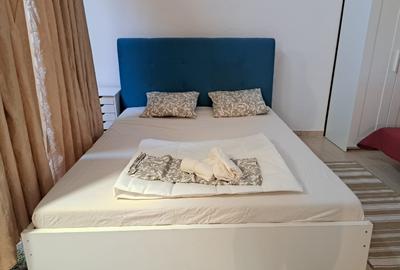 Cazare muncitori, Vila 390 mp, cu piscină, 22 locuri de cazare, P+1+M, parcare, - 6