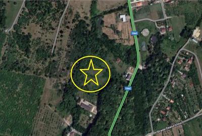 Teren intravilan la liziera padurii Cisnadie -Tocile,14.100mp cu PUZ - 3