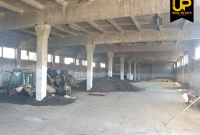Buzau - Vernesti / Spatiu Industrial + Hale / Toate Utilitatile - 1