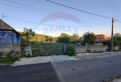 5.000 mp intravilan in Rascruci - aproape de Cluj si Parcul Industrial - 1