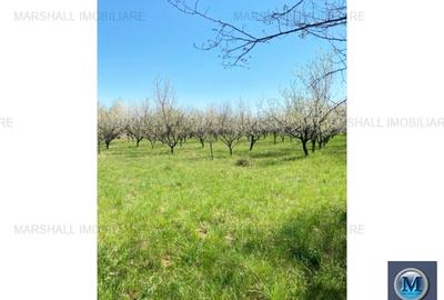 Teren intravilan de vanzare in Baicoi, 4036 mp #15948 - 3