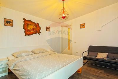 Cabana la Flo, 8 cam,P + M, teren 888 mp oportunitate de investitie ! - 42