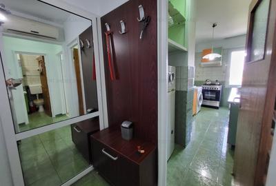 Metrou Jiului-Pajura,2 cam,suprf. 60mp,complet mobilat si utilat - 11