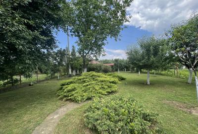 Vila P+Et 1, Aricestii Rahtivani, Oaza de liniste si verdeata - 14