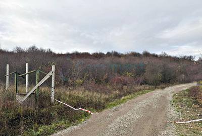 Parcela de teren extravilan, langa padure, zona Gheorghe Doja, Oradea - 2