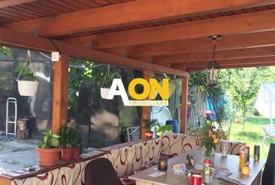 1/2 Duplex, 4 camere, 720 mp teren, zona Cetatea Alba-Carolina - 7