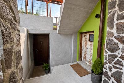 Nivel in casa cu 2 apartamente,145 mp utili+ teren 338mp, Gheorghe Doja - 12