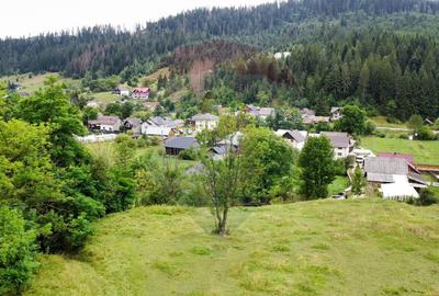 Teren 6,865mp Voroneț / Gura Humorului / Bucovina - 9