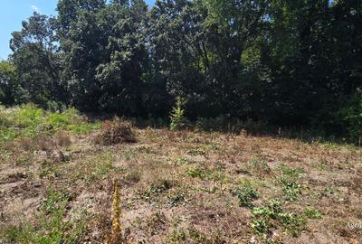 Teren Construcții intravilan de 650 mp, în Central