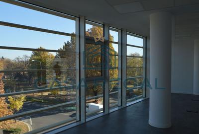 Spatiu de birouri, 160mp utili, zona Cantemir - 12