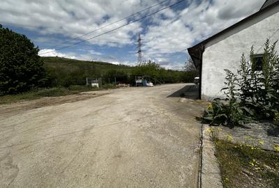TEREN Intravilan 4077 mp. Asfalt Gard Parcare Utilitati Hala si Birouri 450 mp. - 5