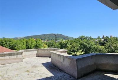 TEREN INTRAVILAN DEVANZARE 33161 MP DE VANZARE TARGU OCNA - 29