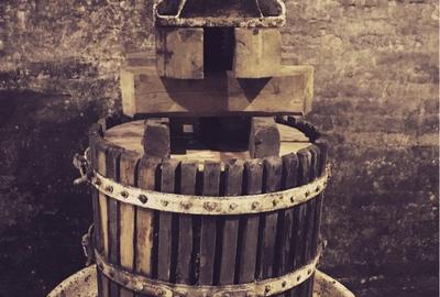 Investiție rară în Bihor - 9