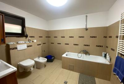 COMISION 0%, Casa Individuala, 110mp, Teren 1480, Parc, Sauna, SACALAZ - 20