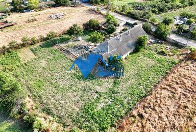 Casa cu teren in Salcioara (Jurilovca) - 2600mp - 9